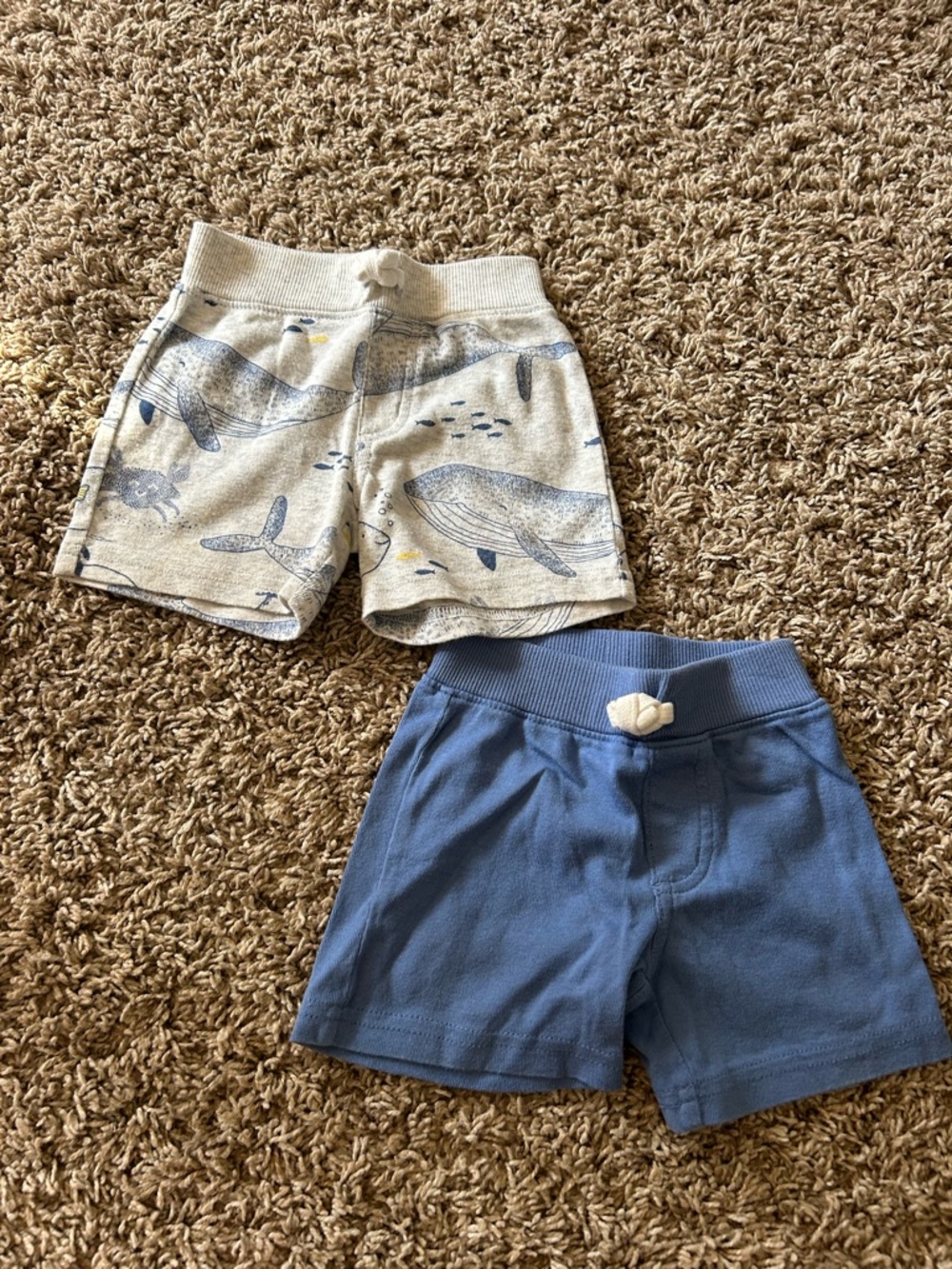 Carters short bundle